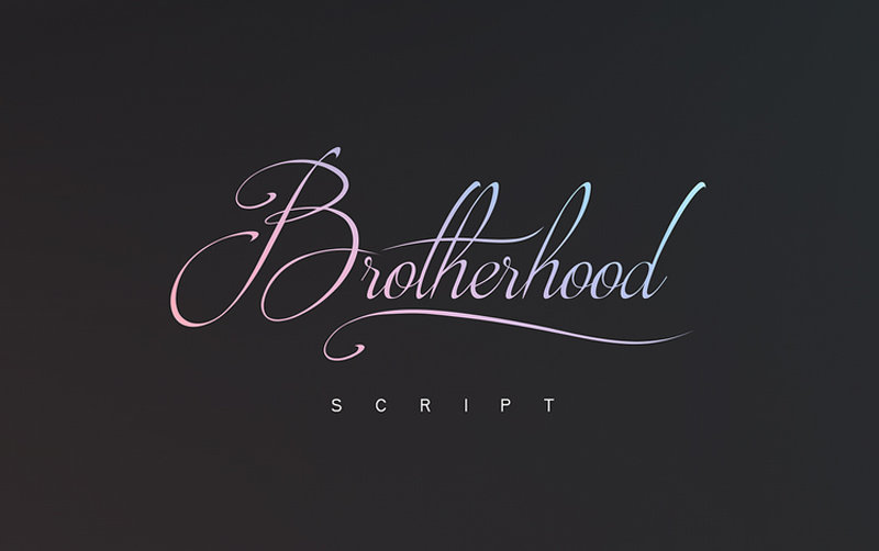 Brotherhood Script